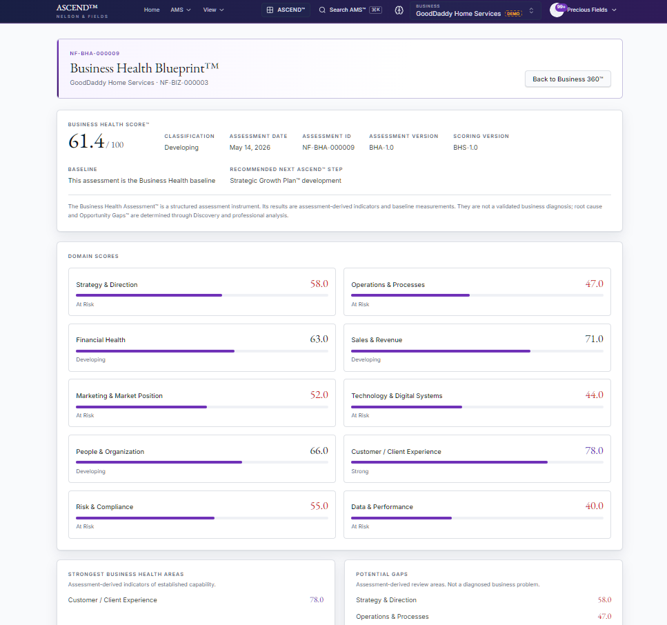 AMS Business Health Blueprint showing the Business Health Score and domain scores